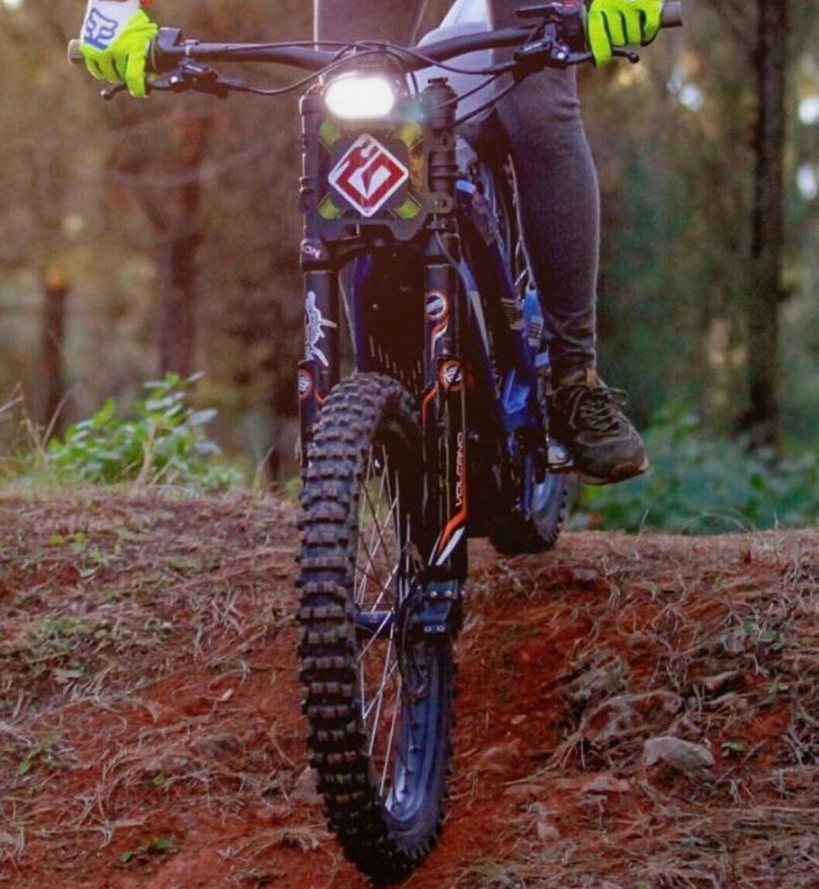 Light Bee DNM Front Fork
