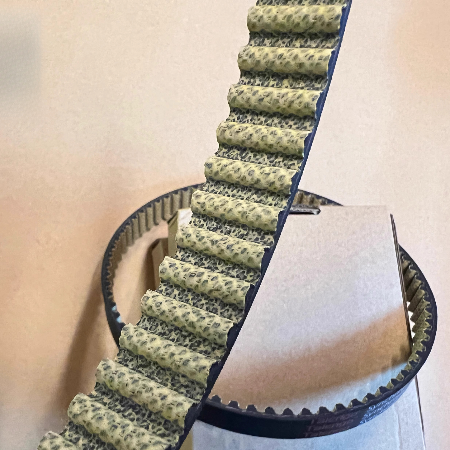 Light Bee Upgraded Carbon Fibre Belt